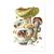  Pomegranate Mushrooms : Alexander Viazmensky Boxed Notecards - Demo4